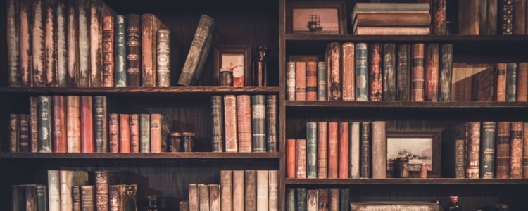 HUAYI-font-b-bookshelf-b-font-backdrop-for-photography-library-backdrop-xt5465