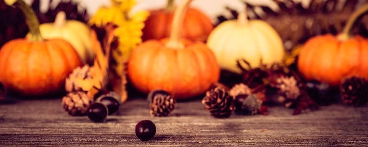 USA_Thanksgiving_1920_800 1