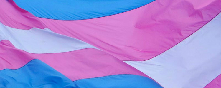 transgender flag 12345566722333