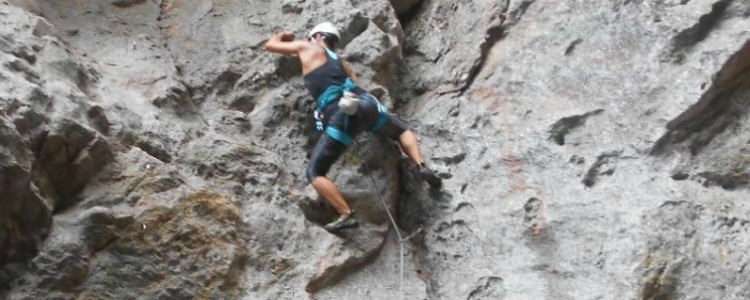 julia climbing 3 (banner)