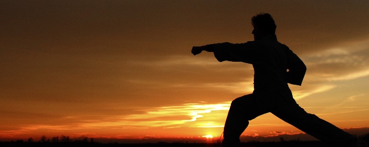 karate banner (1)