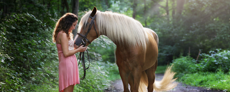 beautiful-daylight-equestrian-1090408 (banner)