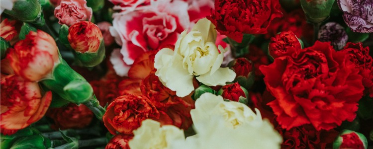 sidney-pearce-620674-unsplash (banner)
