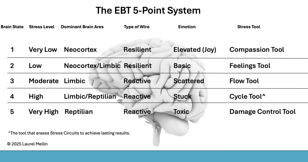 The EBT 5-Point System